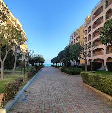Ground floor One Bedroom apartment with Pool view, Midia Grand Resort, Aheloy — photo 11 of 25