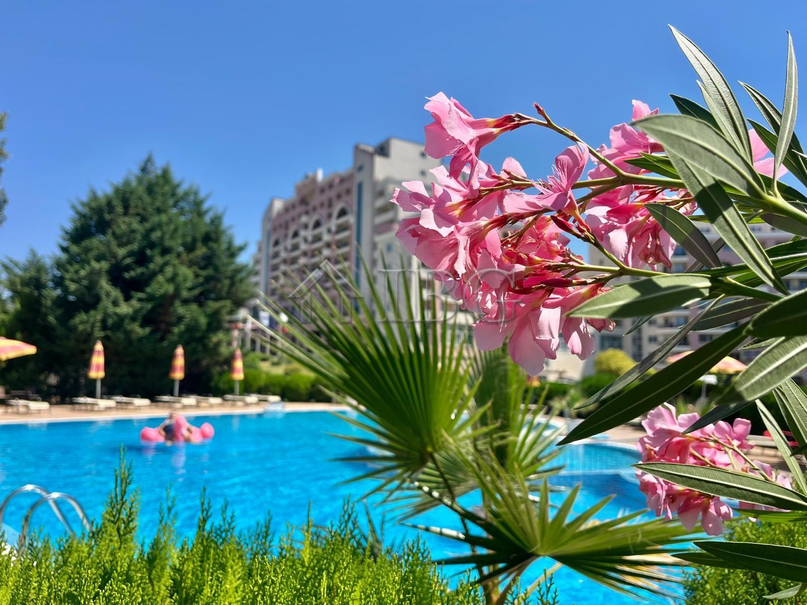 1-Bedroom Apartment Sunny Beach Plaza 5 Minutes to the Beach — photo 2