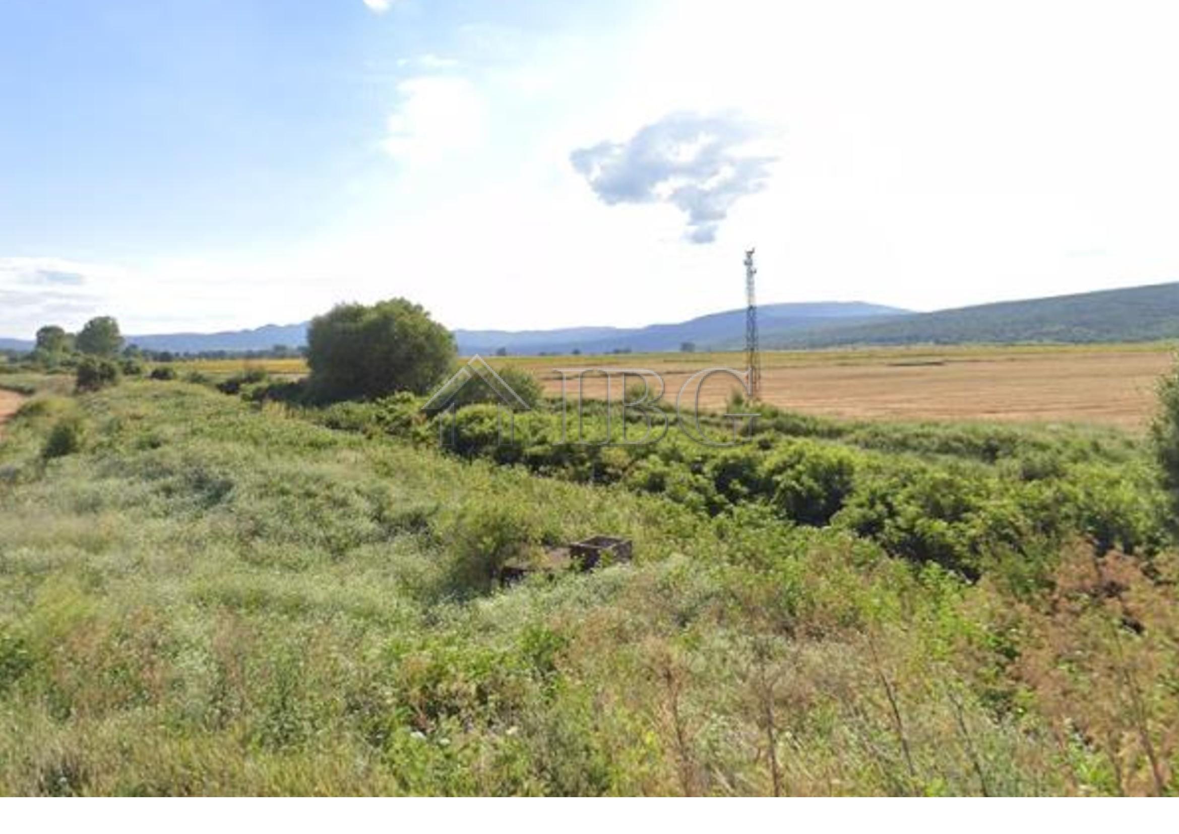 Vineyard Plot in Sungurlare, Burgas Province — main photo