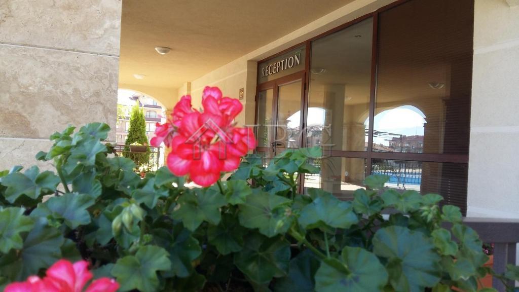 Furnished One Bedroom apartment in Sorento Sole Mare, Sveti Vlas — photo 14 of 19