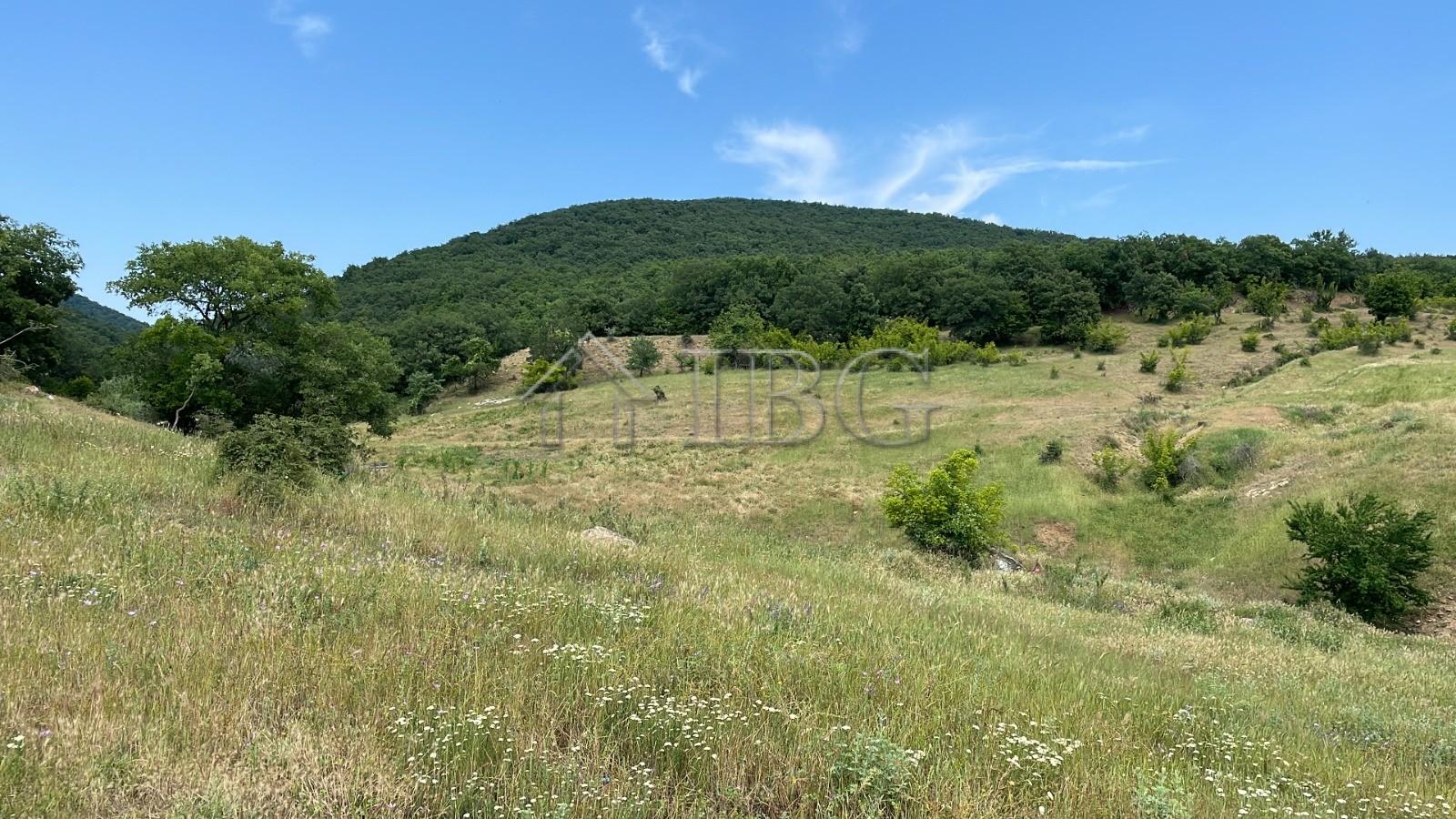 Building Plot for Sale in Kosharitsa — photo 7 of 7