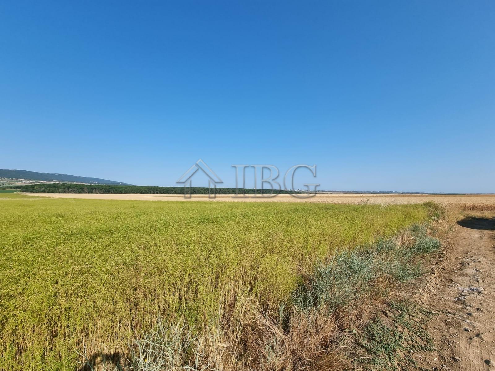 Land Plot for Sale in Drenaka, Tunkovo, Burgas Region — photo 2