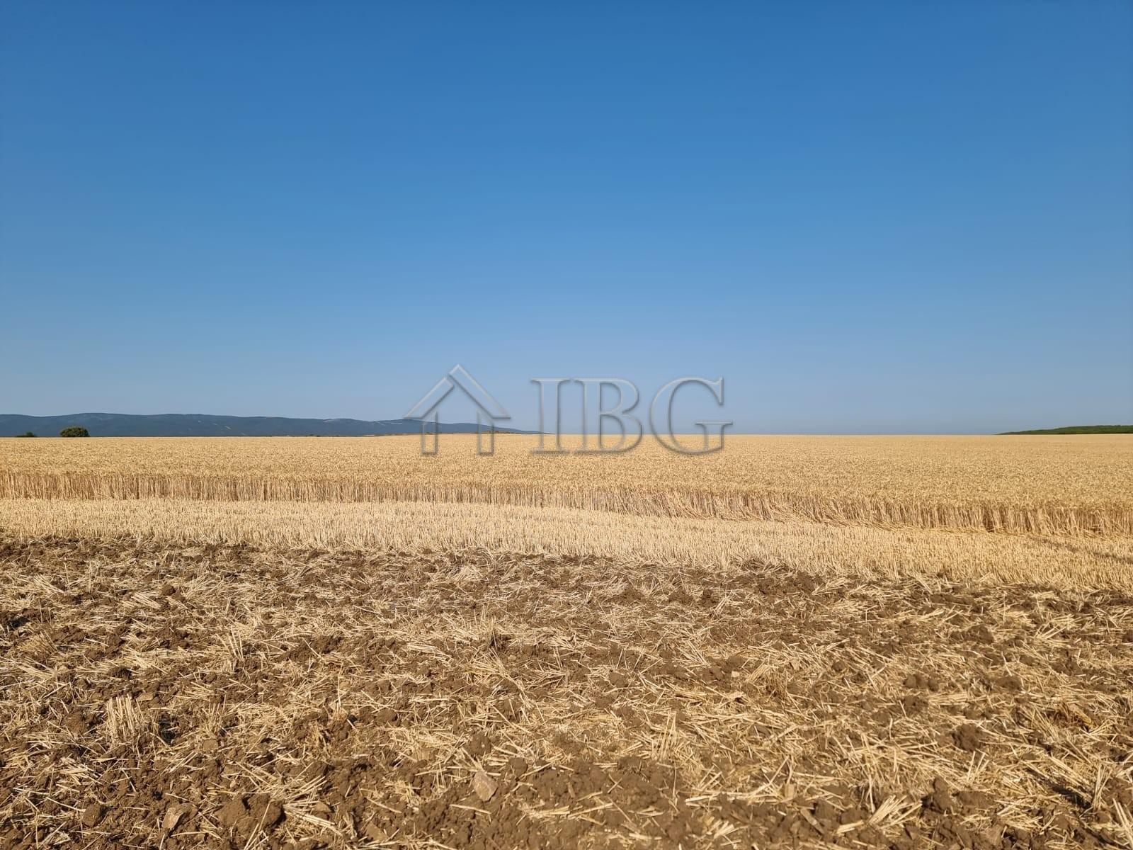 Land Plot for Sale Near Tunkovo, Burgas Region — main photo