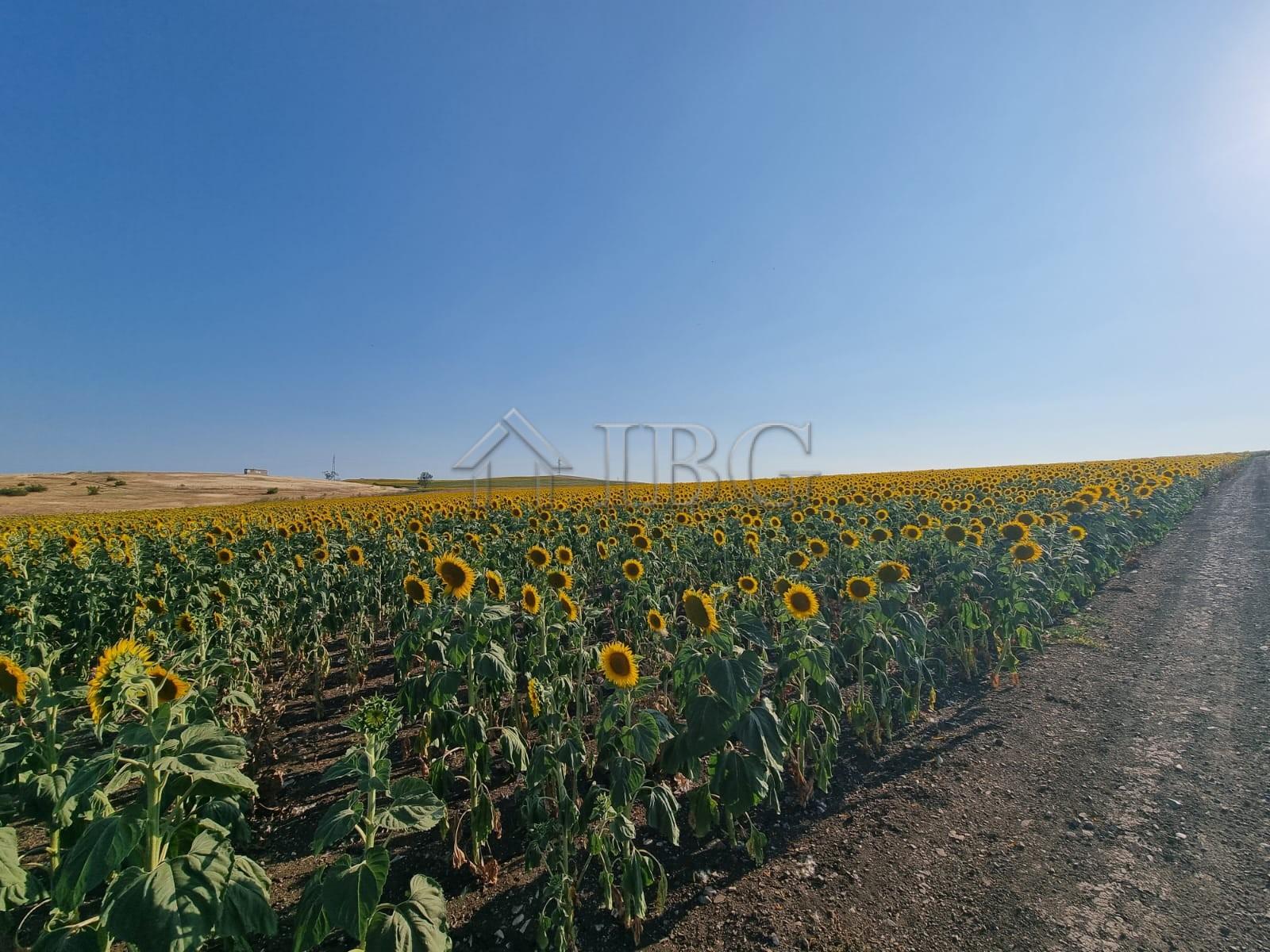 Large Building Plot for Sale in Tunkovo, Burgas Region, Bulgaria — Burgas