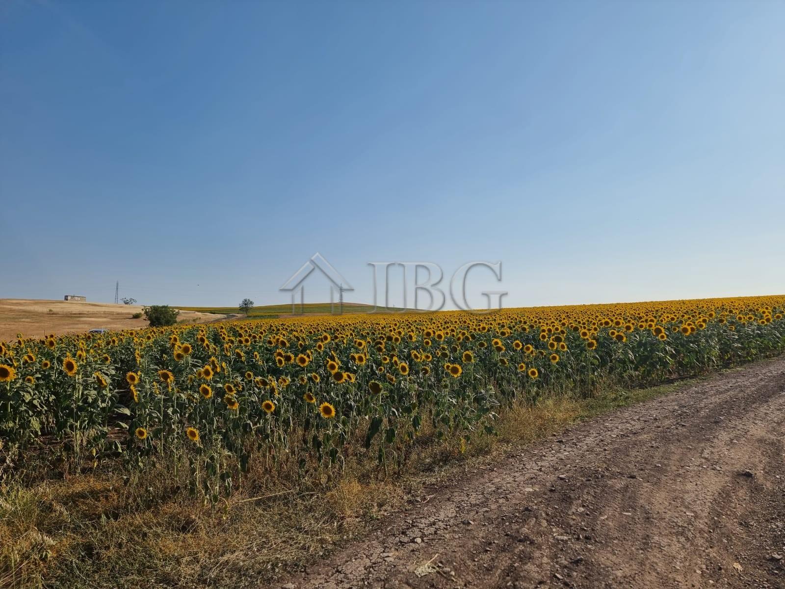 Large Building Plot for Sale in Tunkovo, Burgas Region, Bulgaria — photo 10 of 12