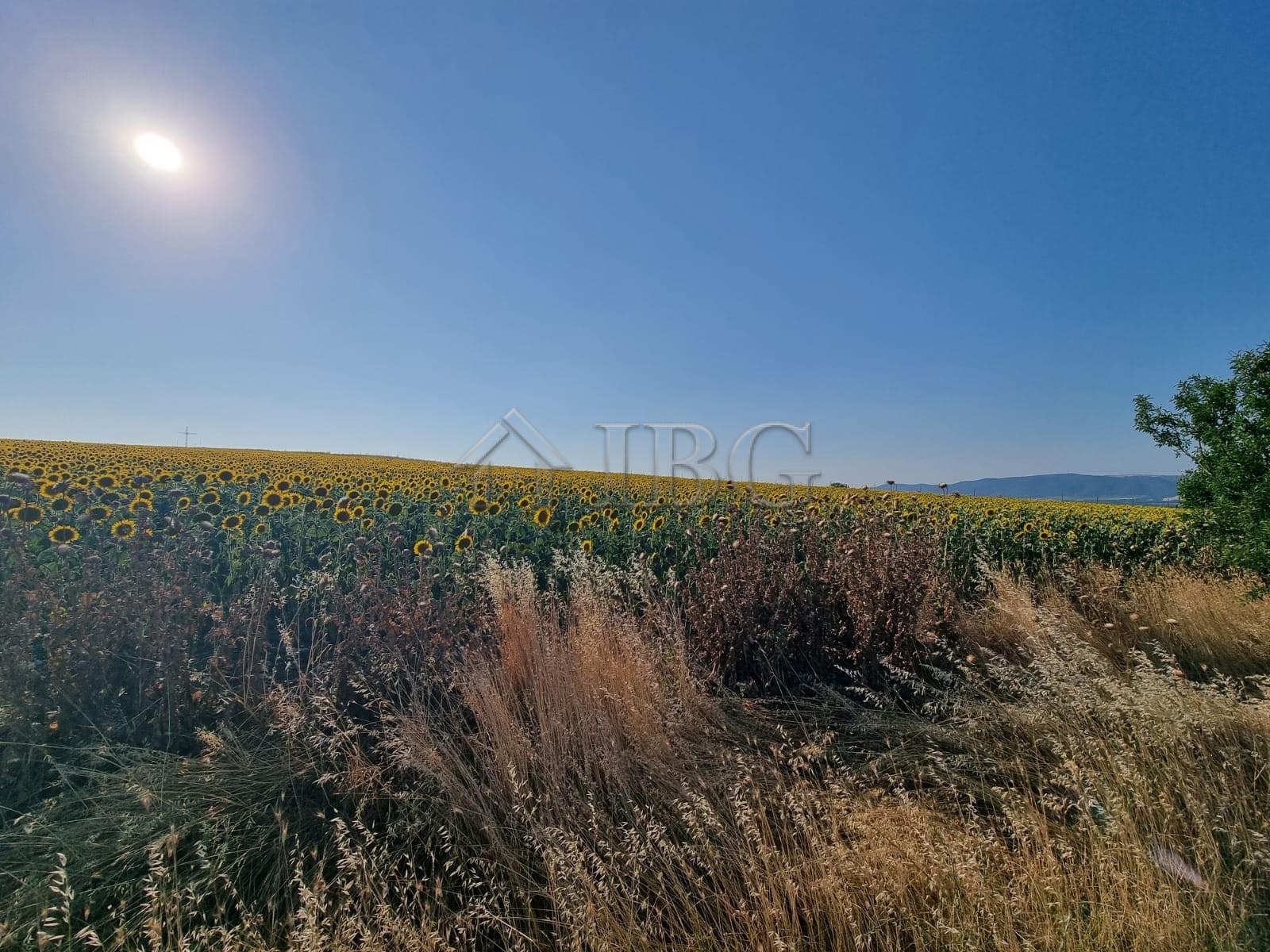 Large Building Plot for Sale in Tunkovo, Burgas Region, Bulgaria — photo 3