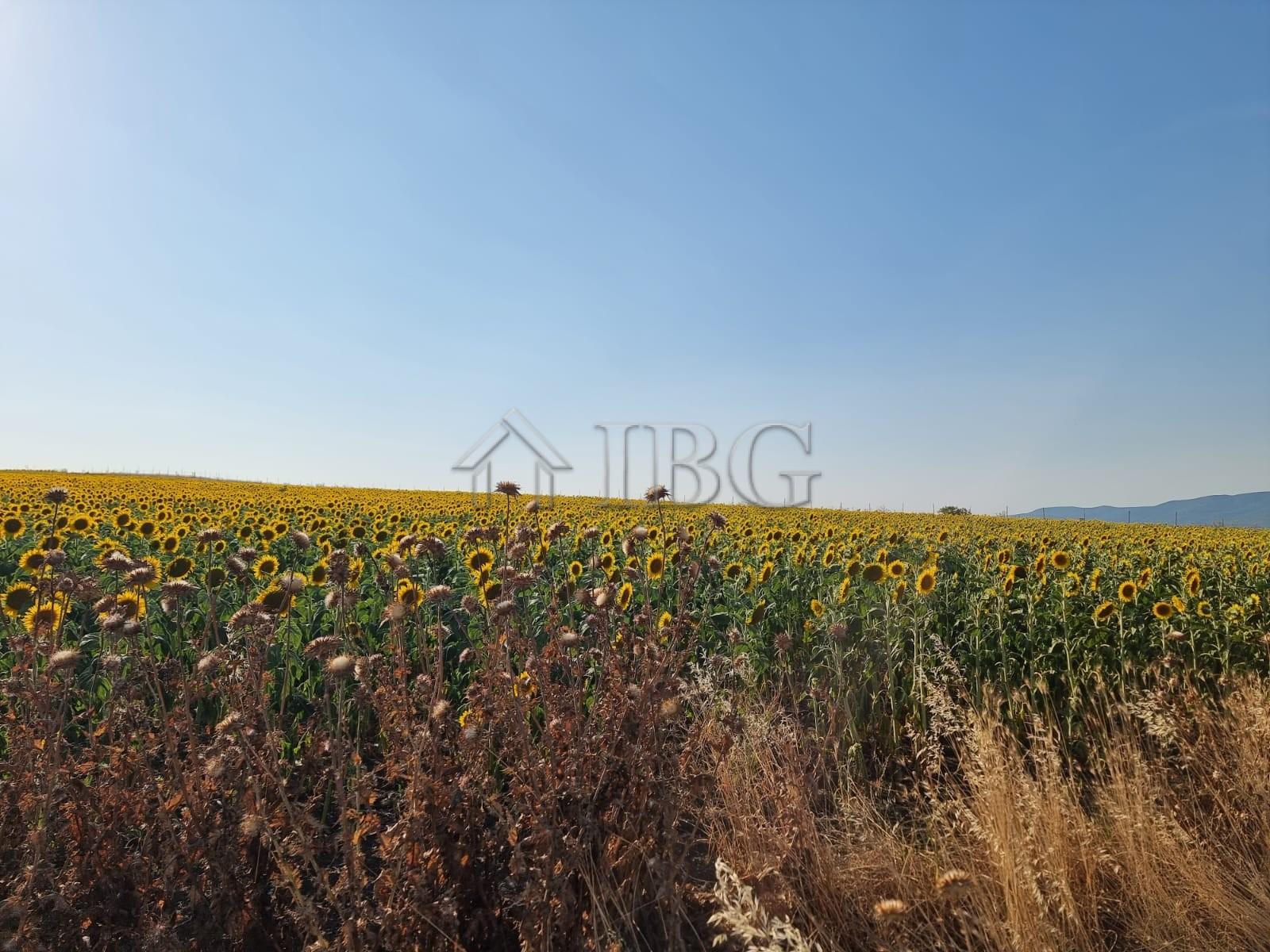 Large Building Plot for Sale in Tunkovo, Burgas Region, Bulgaria — photo 5