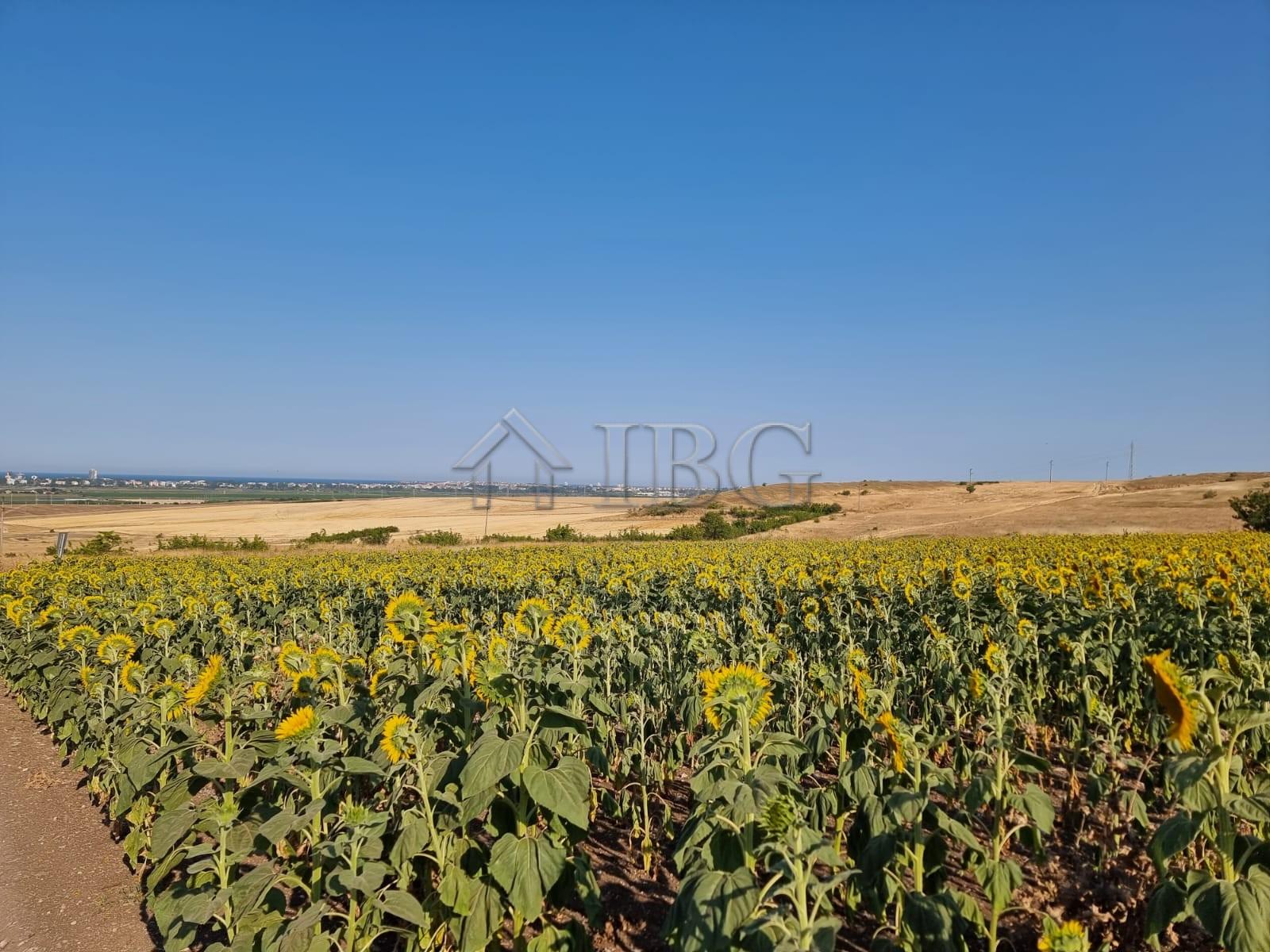 Large Building Plot for Sale in Tunkovo, Burgas Region, Bulgaria — photo 7 of 12