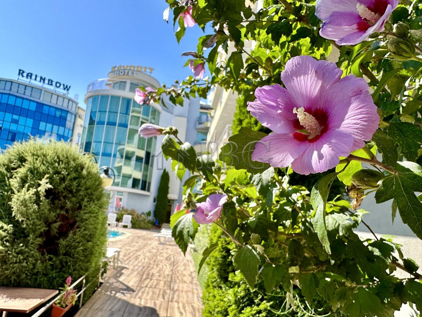 1-Bedroom Apartment for Sale Apart Hotel Favorit, Sunny Beach — photo 16 of 20