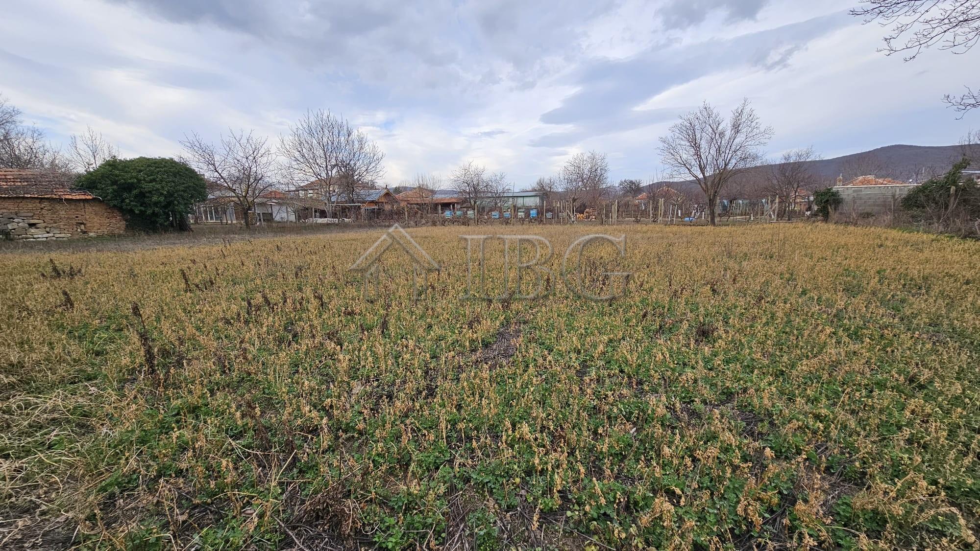 House with Large Plot of land in Gyulyovtsa Village, Burgas Region — photo 4