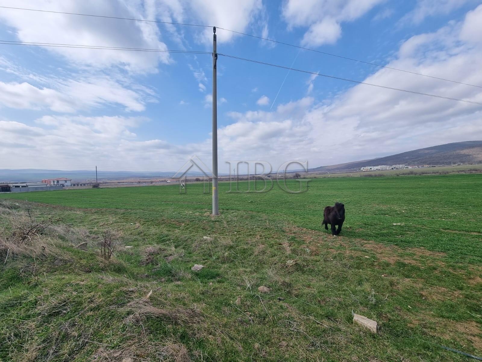 Land Plot for Sale in Kosharitsa — photo 2