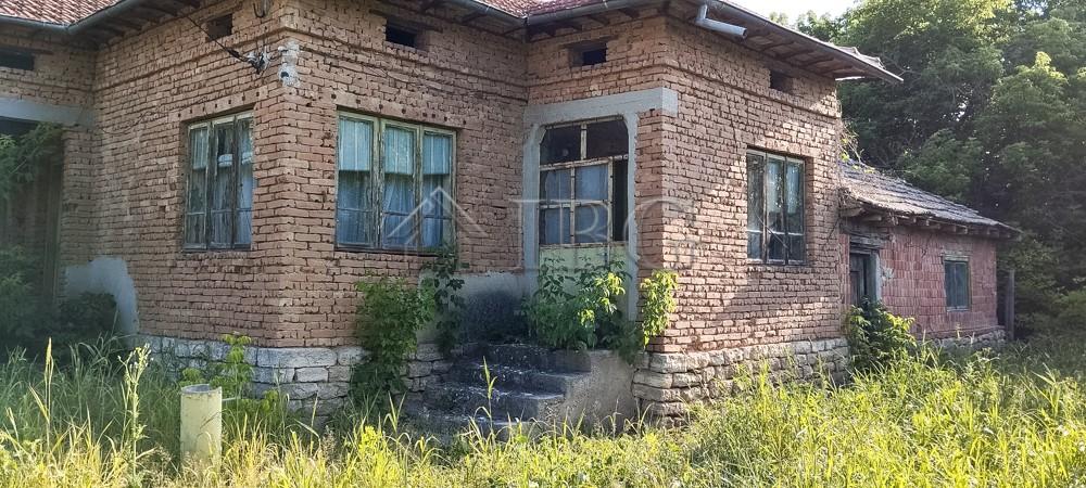 Solid House with renovated Roof and 1,450 sq.m. Garden in a peaceful village — photo 6 of 16