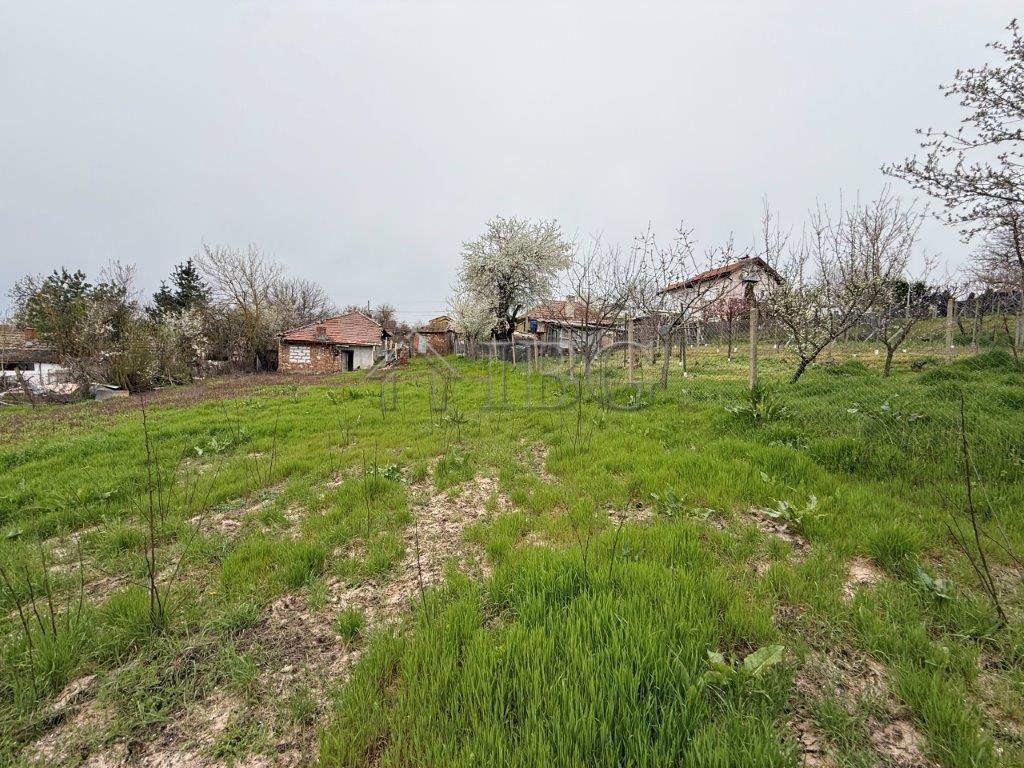 Plot with House and Great Potential Chervena Voda Village, near Ruse — photo 13 of 25