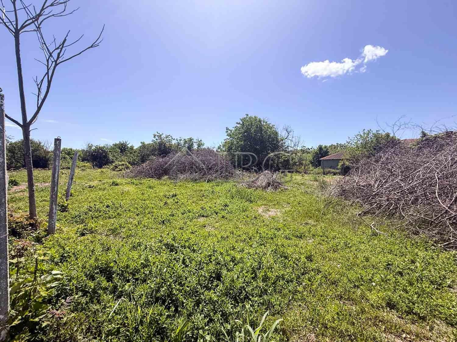 Single-Storey House with 2,400 sq.m. Garden Only 25 Minutes from the Sea — photo 20 of 25