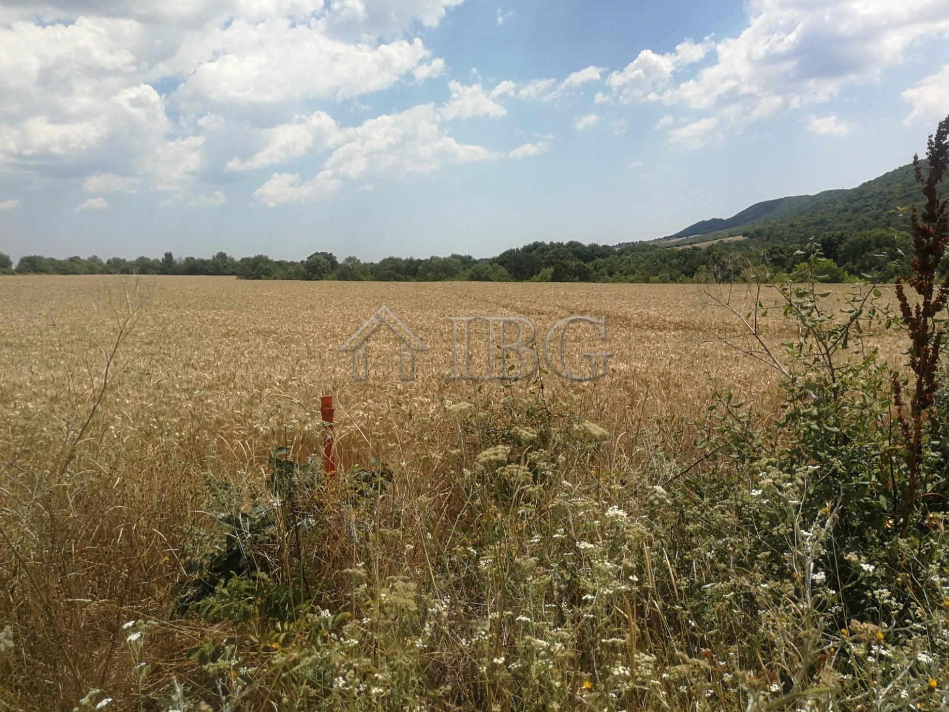 Two Adjacent Development Plots with Building Permit Medovo, Burgas Region — photo 3