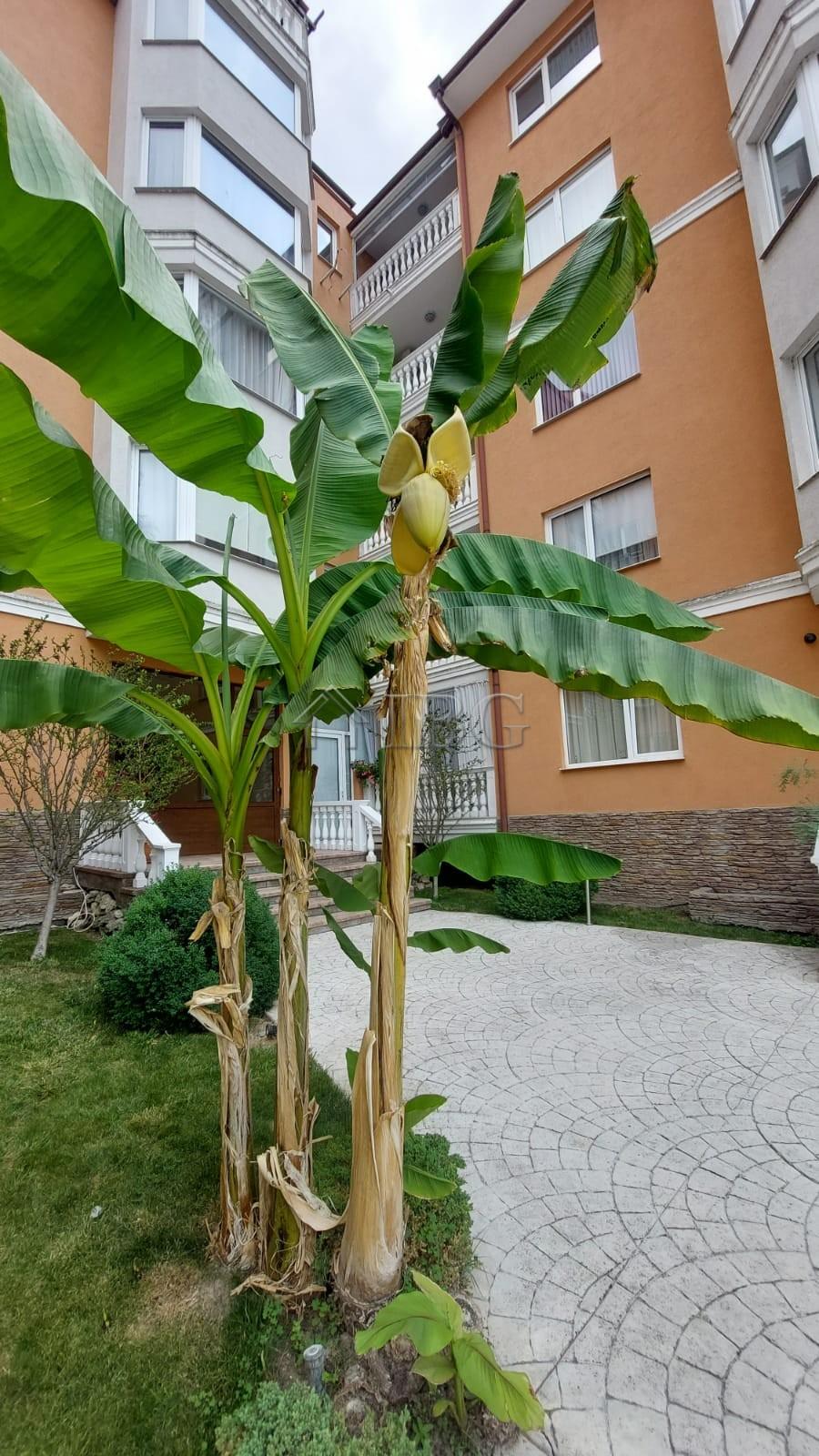 Furnished 1-Bedroom Apartment near Cacao Beach Sunny Beach — photo 17 of 18