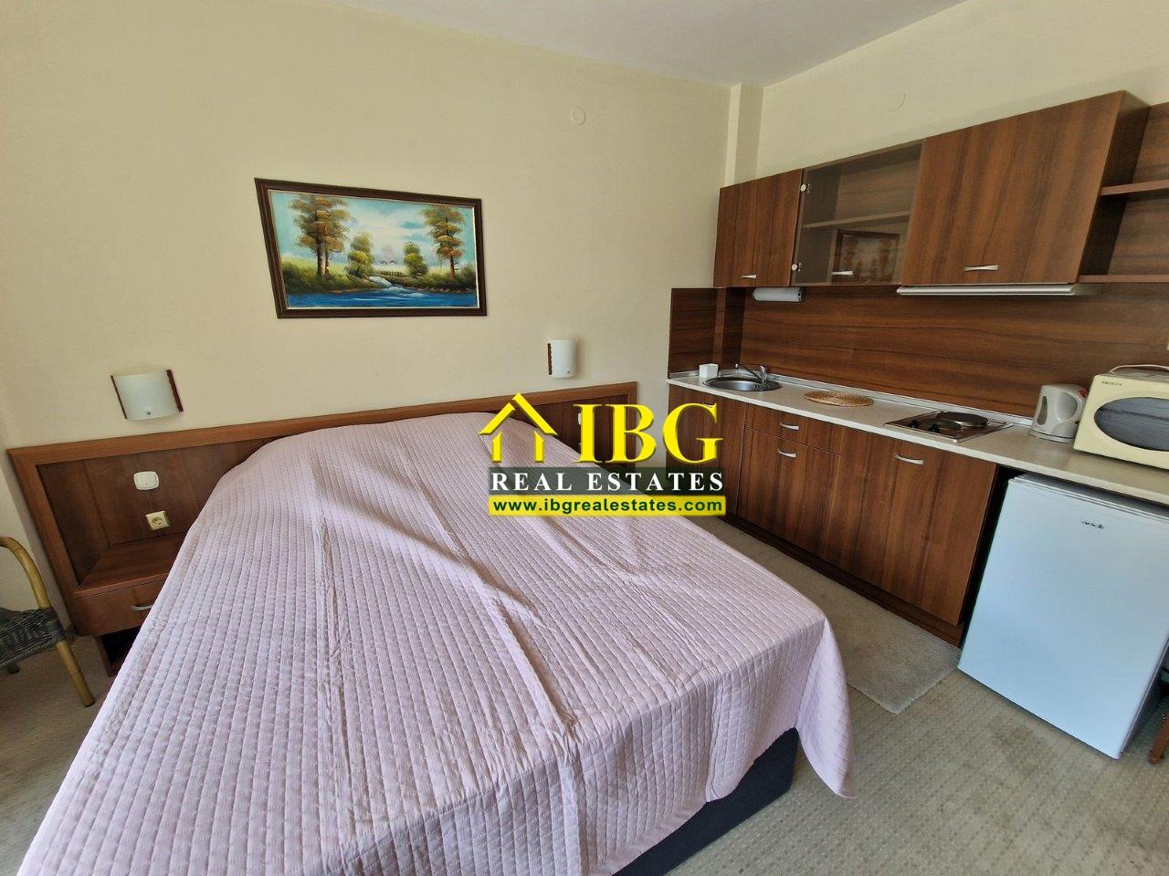 Spacious Furnished Studio Grenada, Sunny Beach — photo 5 of 25