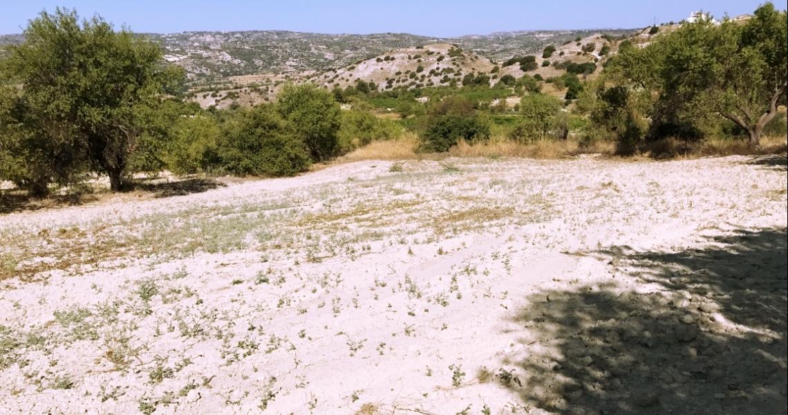 Large plot of land - Great Investment Option — Paphos