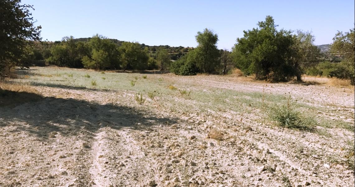 Large plot of land - Great Investment Option — photo 5