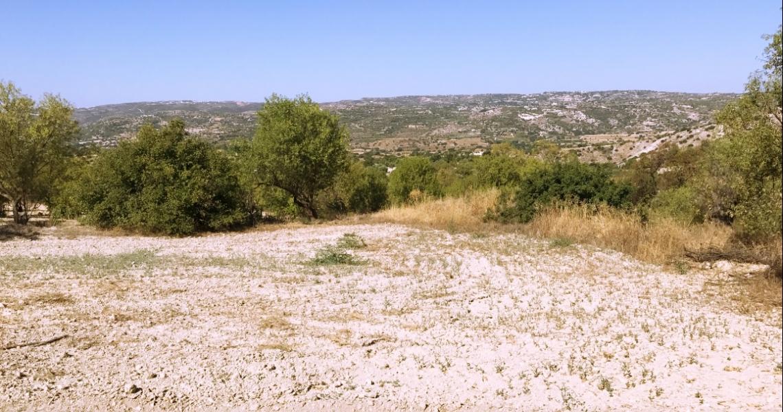 Large plot of land - Great Investment Option — photo 3