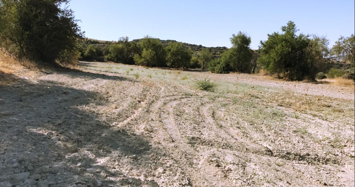 Large plot of land - Great Investment Option — photo 4