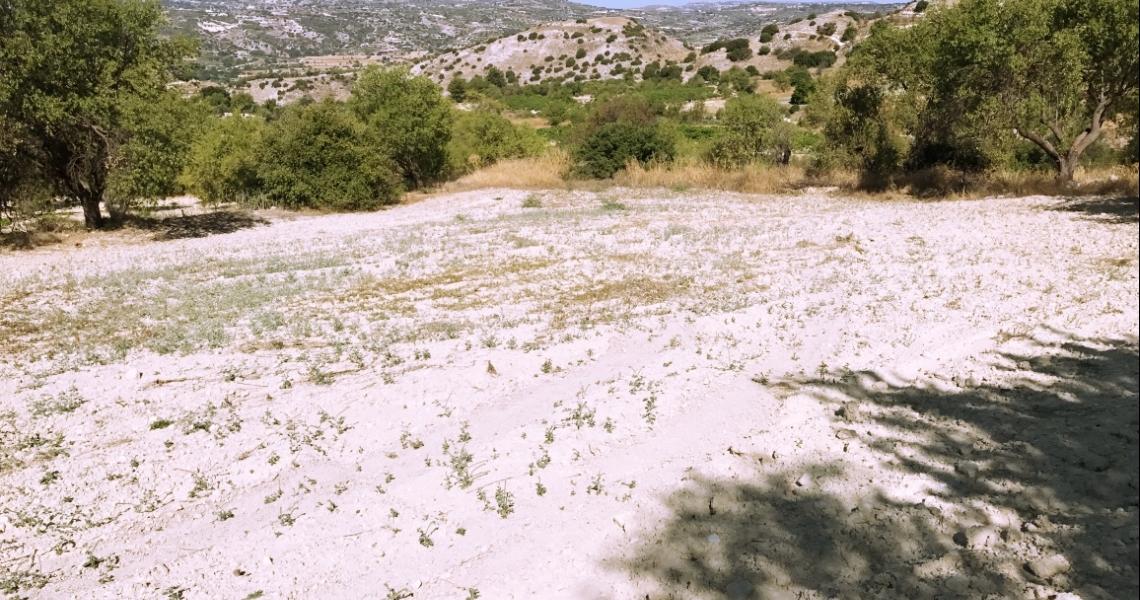 Large plot of land - Great Investment Option — photo 6