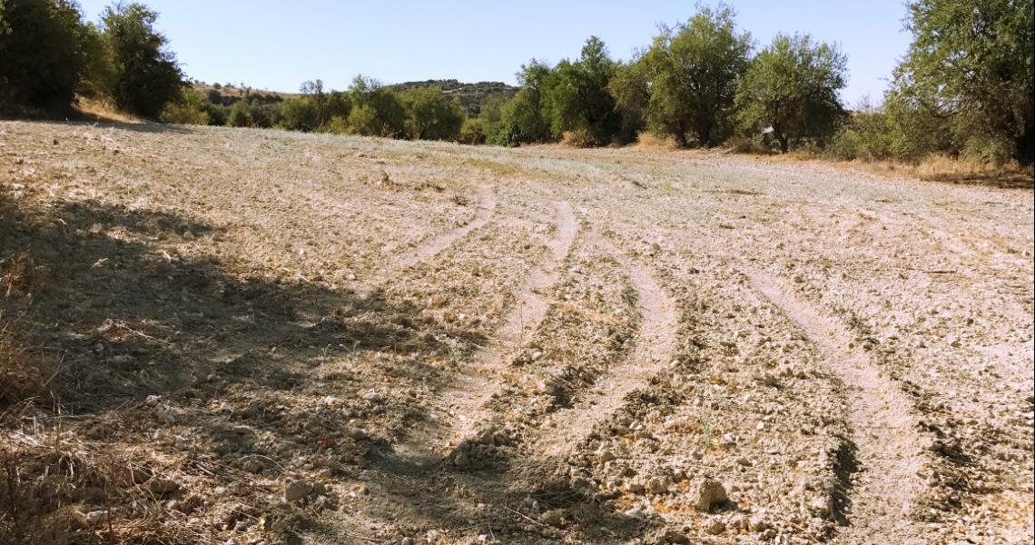 Large plot of land - Great Investment Option — photo 7 of 7
