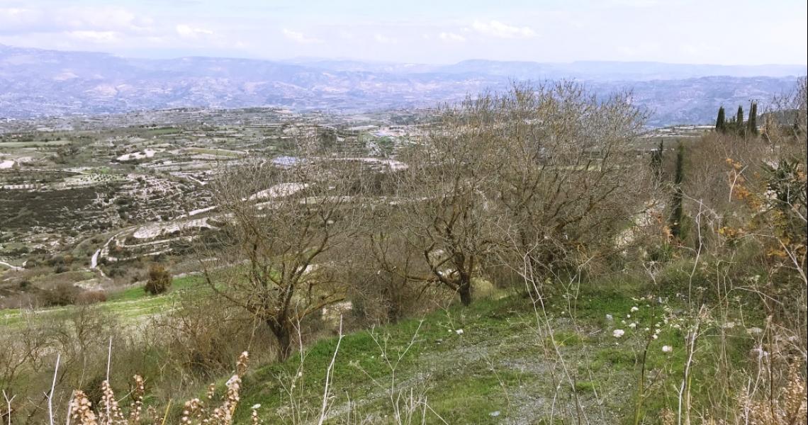 Minthis Hills Golf Plot of land for Sale — Paphos