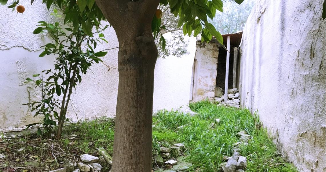 Village house built 1869 - Grants Awarded. — Paphos
