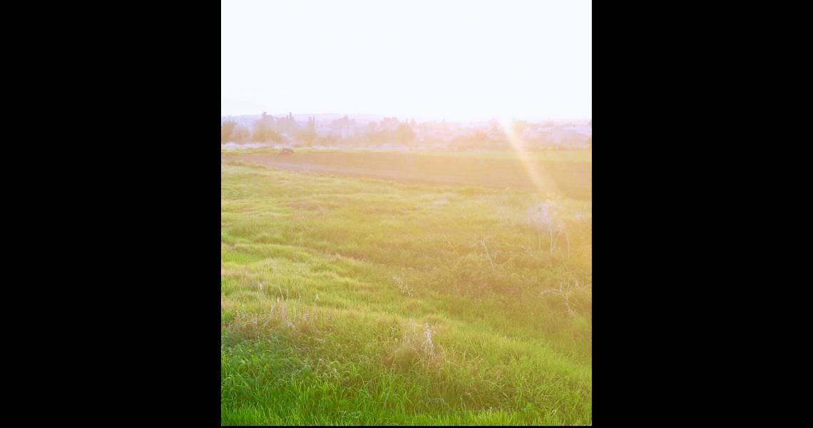 Large plot with sea views — photo 4