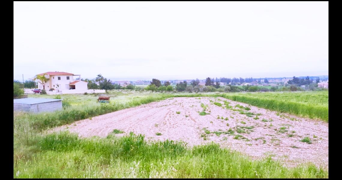Large plot with sea views — photo 5