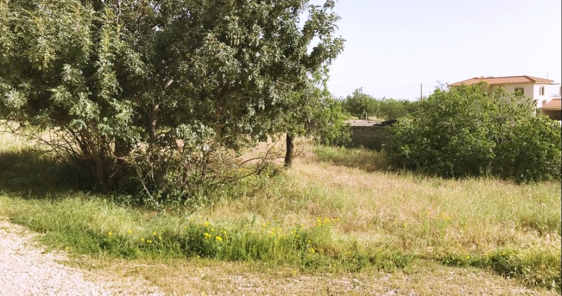Large plot with sea views — photo 6