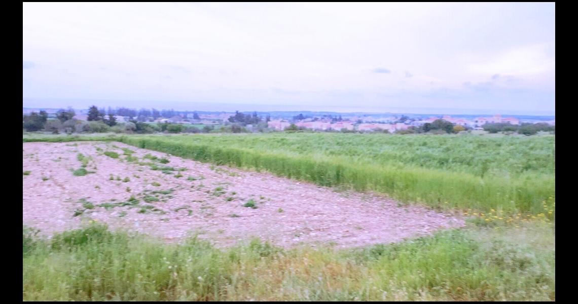 Large plot with sea views — photo 8 of 9