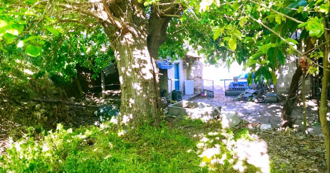 Large village house and plot for sale 10 rooms — photo 22 of 25