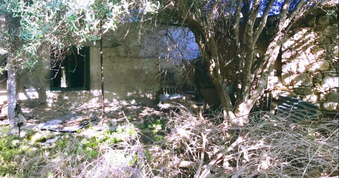 Large village house and plot for sale 10 rooms — photo 23 of 25