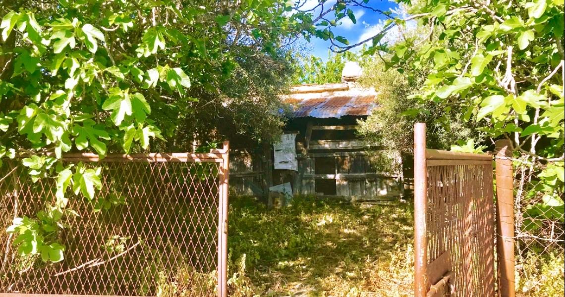 Large village house and plot for sale 10 rooms — photo 24 of 25