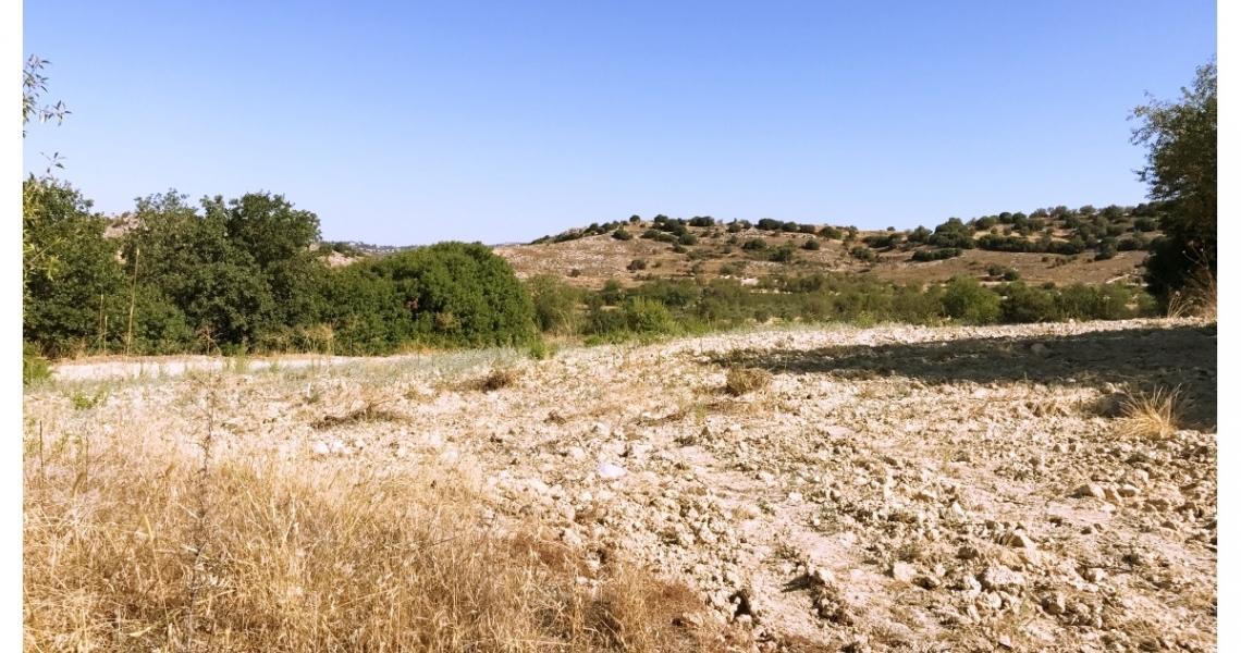 Huge plot of land (over 13,000 square meters) — Paphos