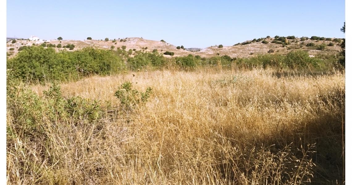 Huge plot of land (over 13,000 square meters) — photo 2