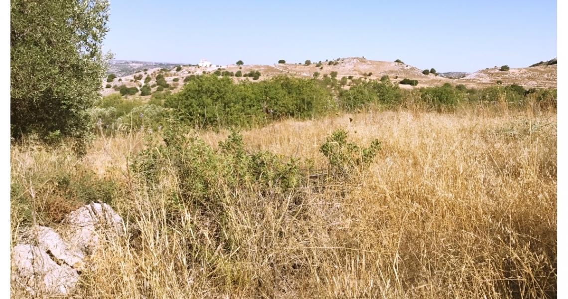 Huge plot of land (over 13,000 square meters) — photo 3