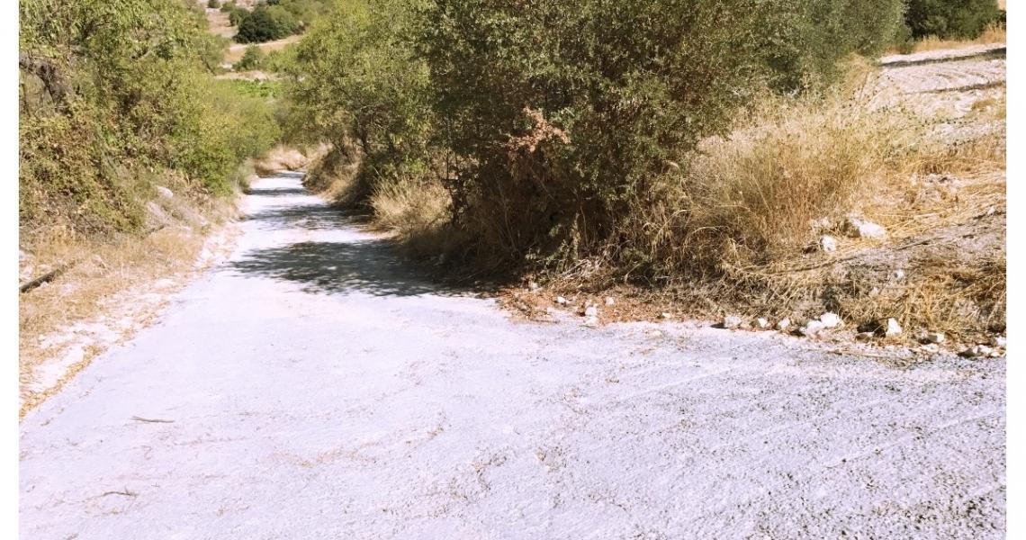 Huge plot of land (over 13,000 square meters) — photo 5