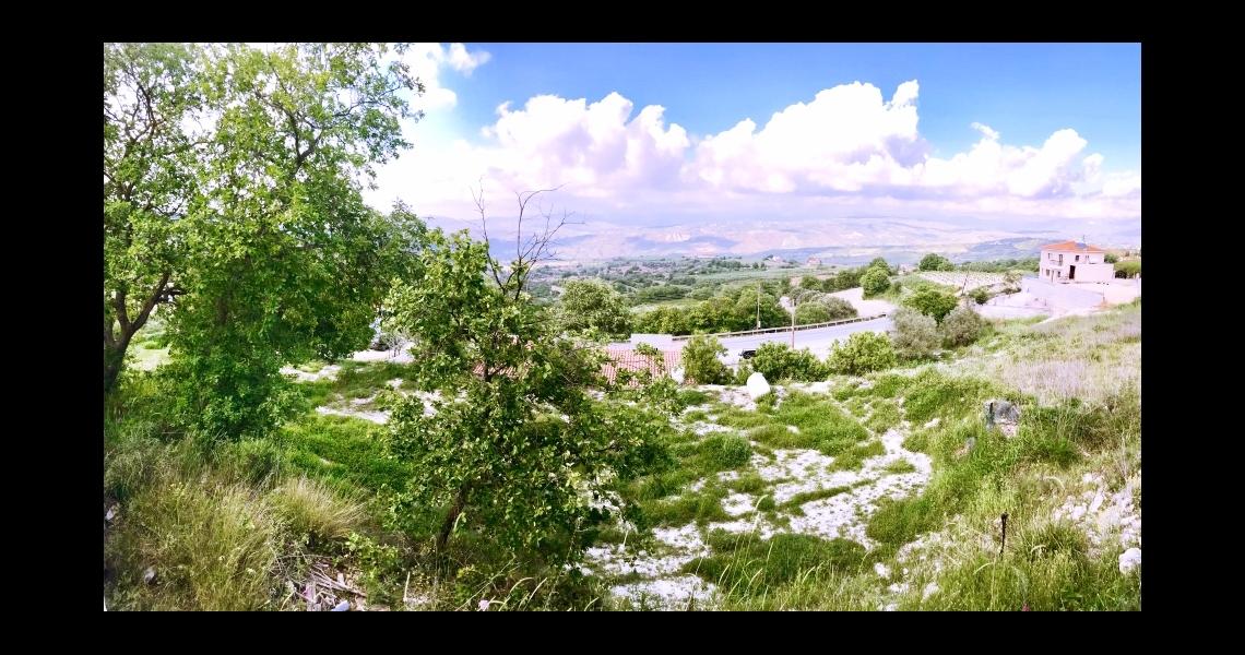 Large House skeleton and 4 plots for sale — photo 10 of 11