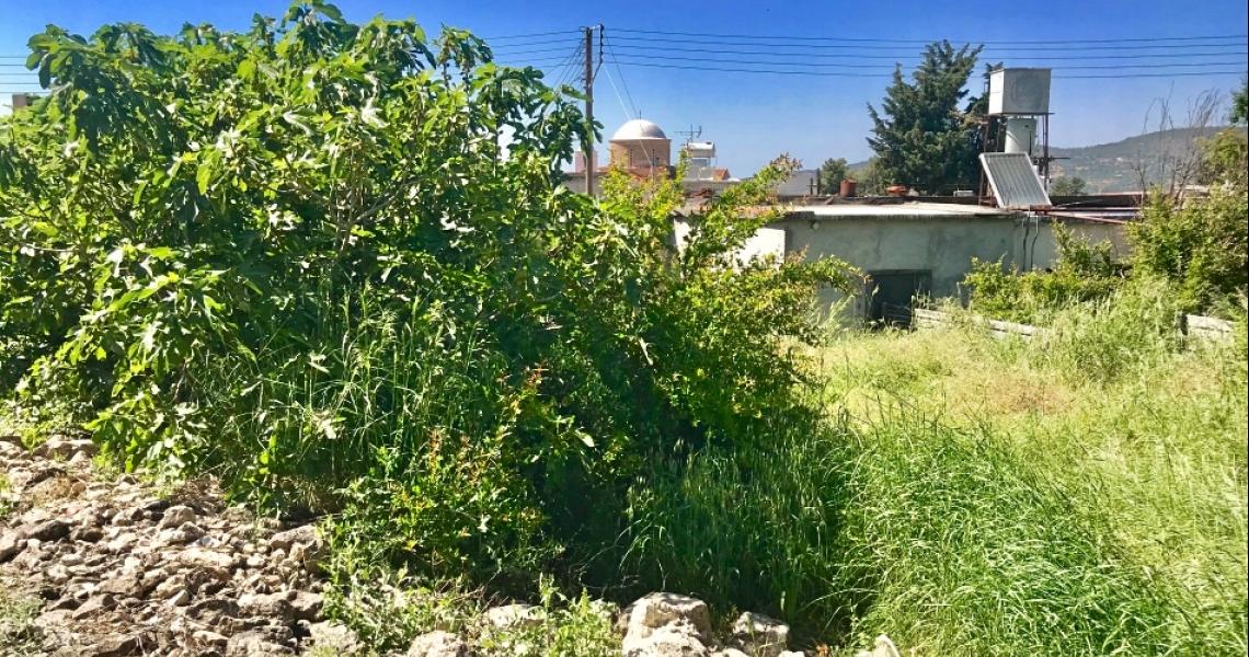 Village house in Large plot for renovation — photo 9 of 14