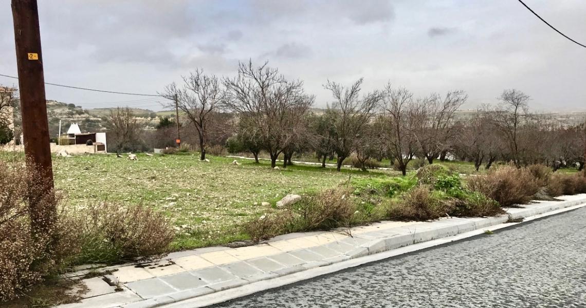 Large field Kathikas, Paphos — Paphos