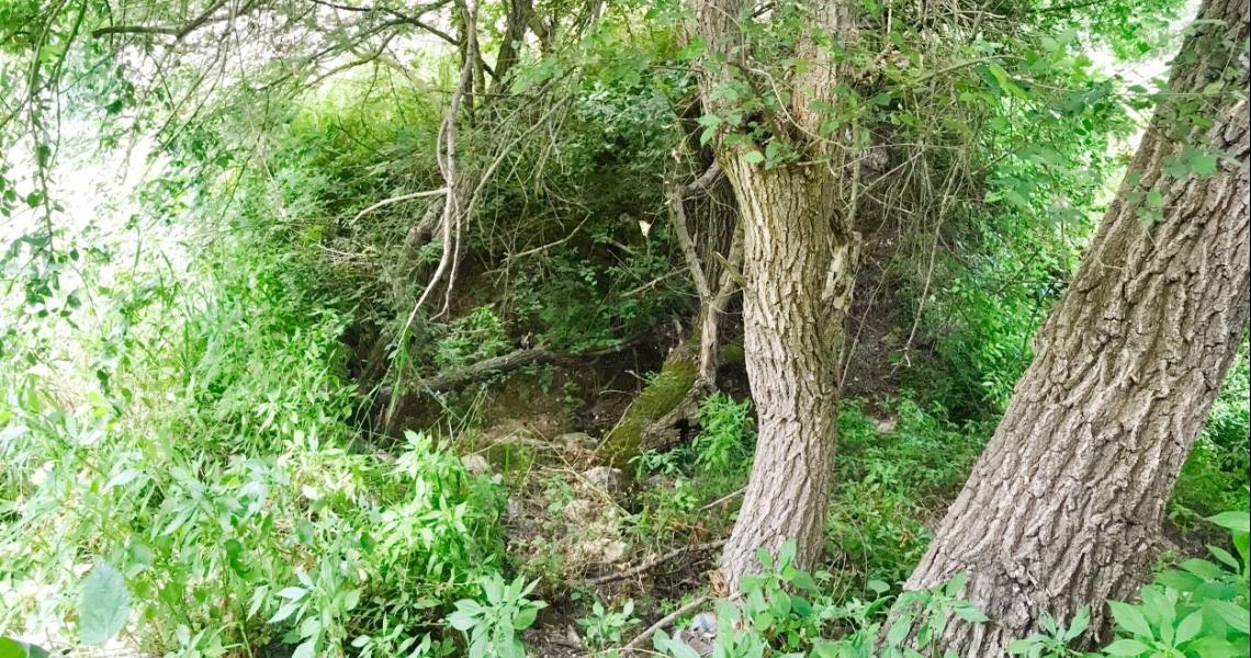 Village cottage house Lush gardens Hobbit House — photo 22 of 25