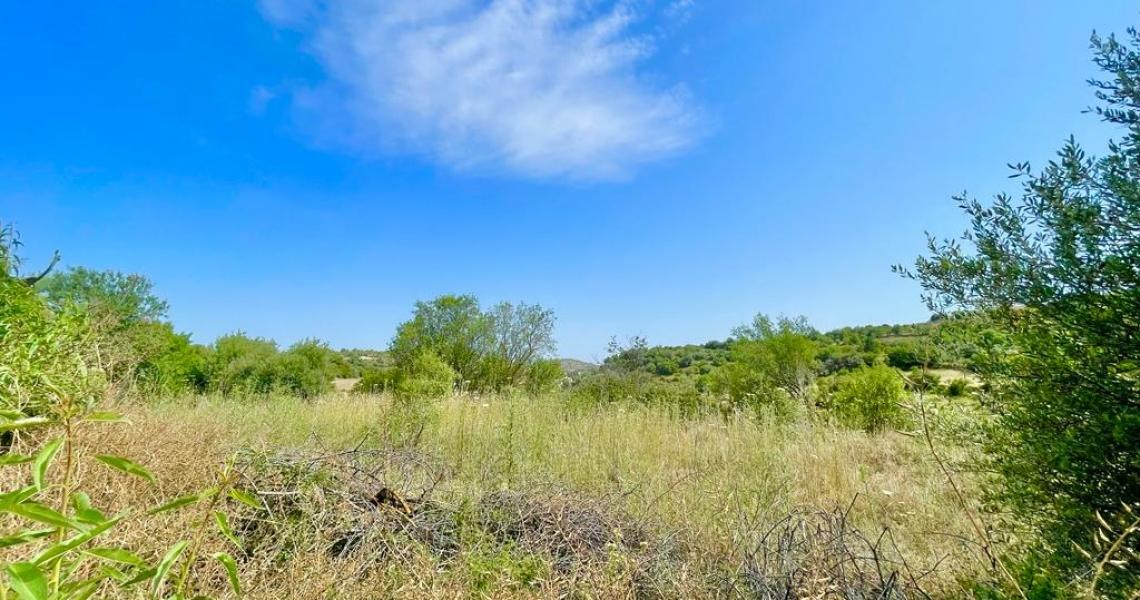 Large Plot with expansive views — photo 2