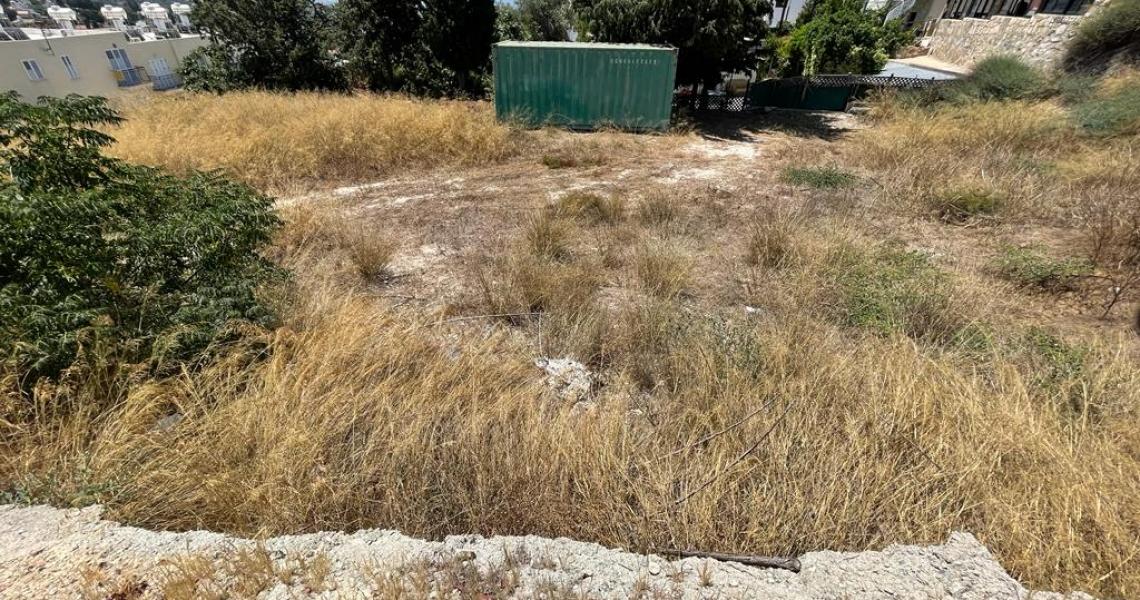 Large plot for sale at a fraction of the real value — Paphos