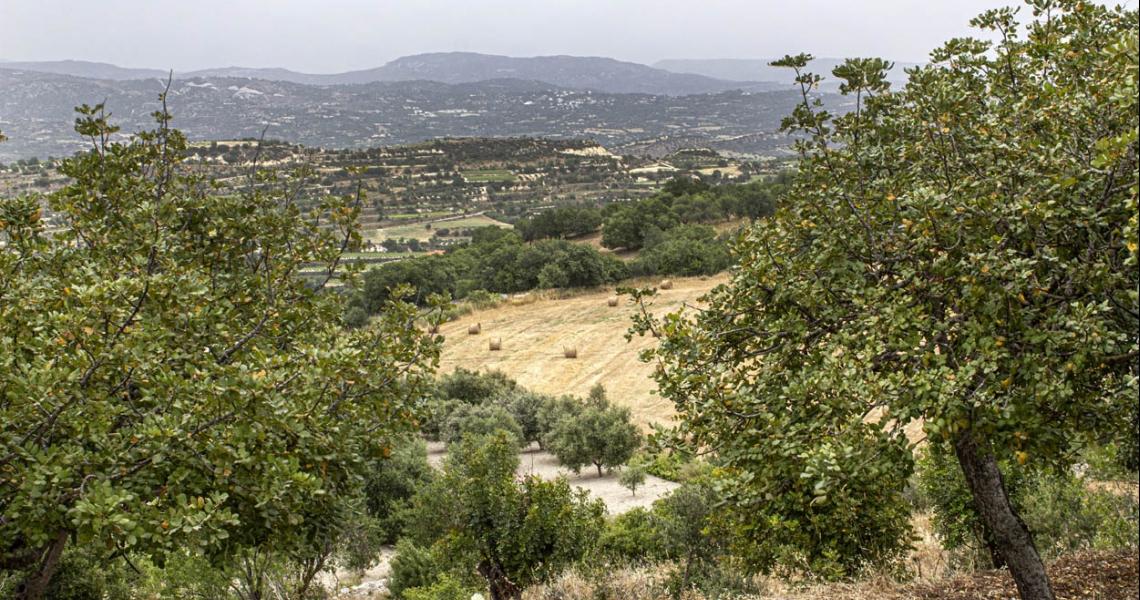 3 bedrooms, 2 bathrooms - bungalow Paphos area — photo 7 of 9