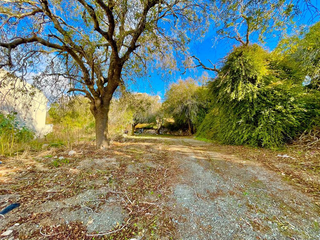Plot of land with building permission and drawings — photo 2