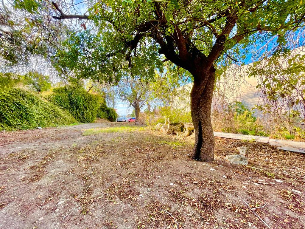 Plot of land with building permission and drawings — Paphos
