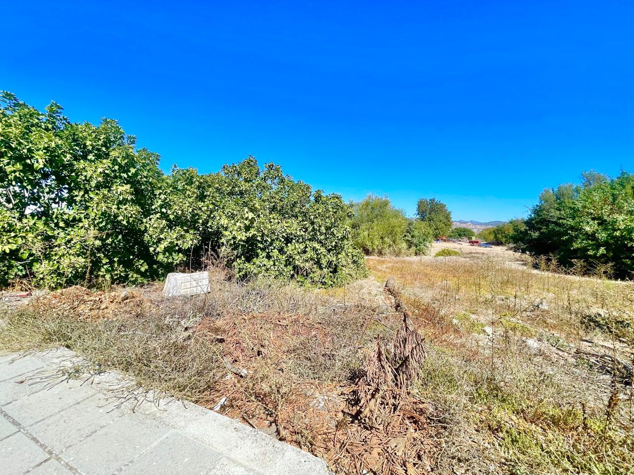 Plot for a home on the expansive natural landscape — Paphos